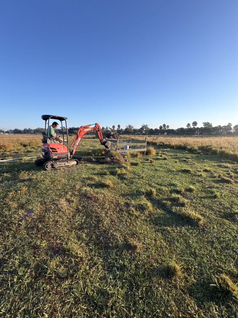 Project Gallery Image