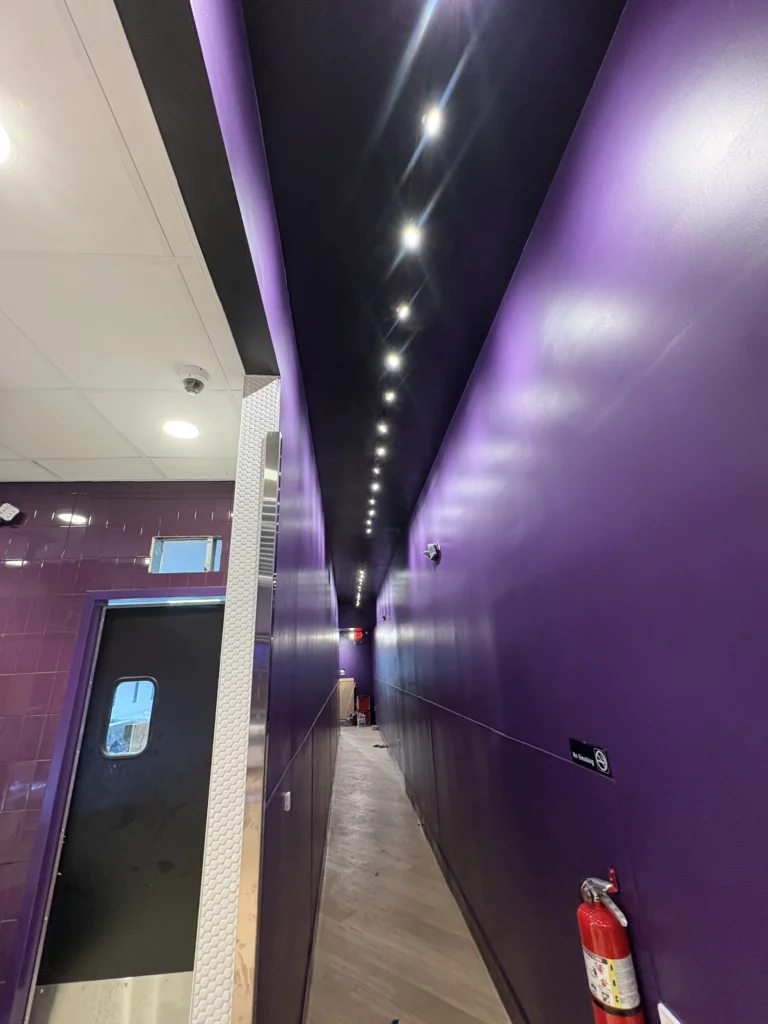 Project Gallery Image