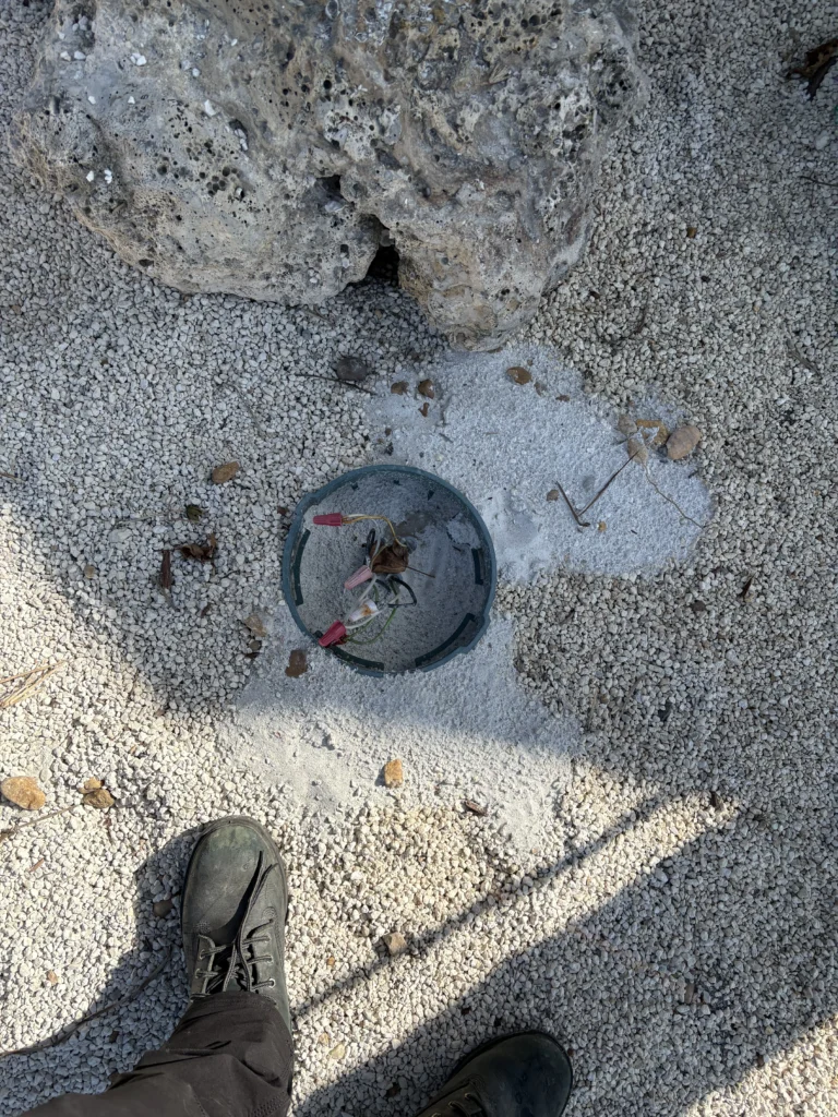 Project Gallery Image